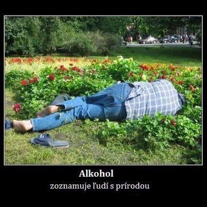 Príspevok 24217